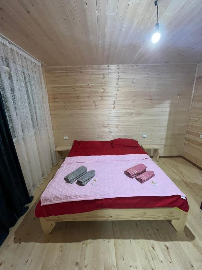 Guest House Caucasioni Adishi Εξωτερικό φωτογραφία